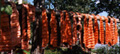 Fish Strips Drying