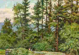  Forest