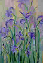 Iris oil painting by Jean Lester
