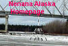 Nenana Alaska Homepage