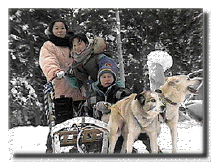 Dog Sled Ride