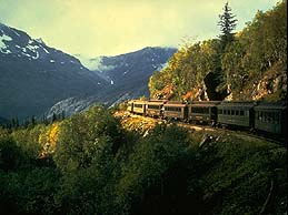 Train winds its way through the Interior Alasks landscape.