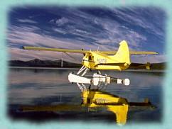 By bush plane from Bettles